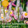 Waschbär Robuste Schönheiten für den Garten. Wie Sie Ihren Garten für das Klima wandeln. Outlet
