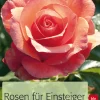 Waschbär Rosen für Einsteiger. Die schönsten Sorten und ihre Pflege. New