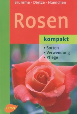Waschbär Rosen kompakt