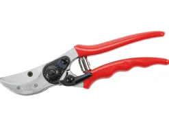 Waschbär Rote Gartenschere. Discount