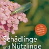 Waschbär Schädlinge und Nützlinge im Garten. Best