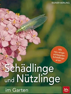 Waschbär Schädlinge und Nützlinge im Garten. Best