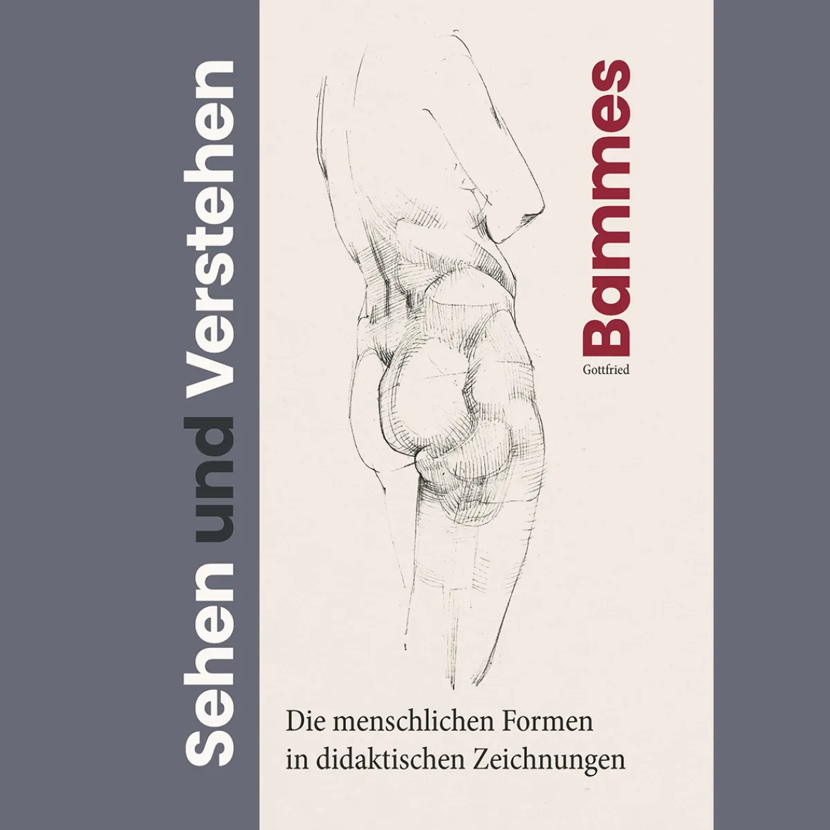 Waschbär Sehen und Verstehen. Die menschlichen Formen. Sale