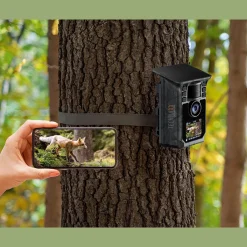 Waschbär Solar Wifi Wildtierkamera Online