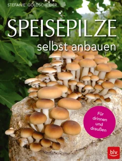 Waschbär Speisepilze selbst anbauen. Für drinnen und draußen. Outlet