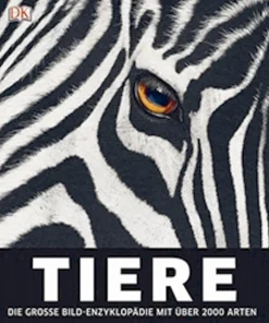 Waschbär Tiere Discount