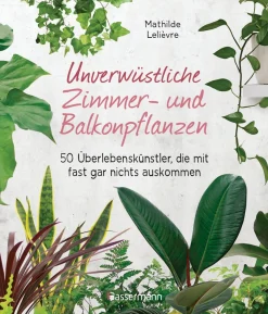 Waschbär Unverwüstliche Zimmer- und Balkonpflanzen. 50 Überlebenskünstler, die mit fast gar nichts auskommen. Outlet
