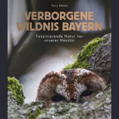 Waschbär Verborgene Wildnis Bayern. Faszinierende Natur vor unserer Haustür. Clearance