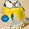 Waschbär Vögel - Bestimmen in drei Schritten Outlet