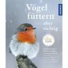 Waschbär Vögel füttern, aber richtig. Best