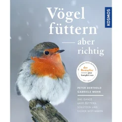 Waschbär Vögel füttern, aber richtig. Best