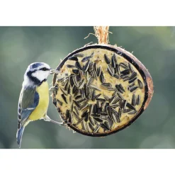 Waschbär Vogelfutter, gefüllte 1/2 Kokosnuss, 10er Set New