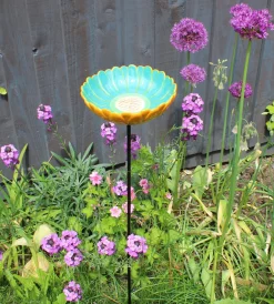 Waschbär Vogeltränke »Afrikanisches Gänseblümchen«. Hot