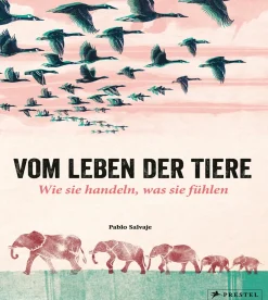 Waschbär Vom Leben der Tiere. Wie sie handeln, was sie fühlen. Clearance