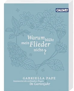 Waschbär Warum blüht mein Flieder nicht? Discount