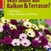 Waschbär Was blüht auf Balkon & Terrasse? 650 Pflanzen, Pflege, Merkmale, Verwendung. Clearance