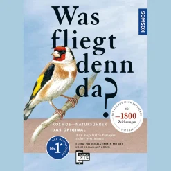 Waschbär Was fliegt denn da? Online