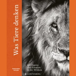 Waschbär Was Tiere denken. Intelligenz und Emotion in der Wildnis. Sale