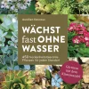 Waschbär Wächst fast ohne Wasser. Gärtnern mit dem Klimawandel. Online