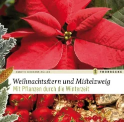 Waschbär Weihnachtsstern und Mistelzweig.