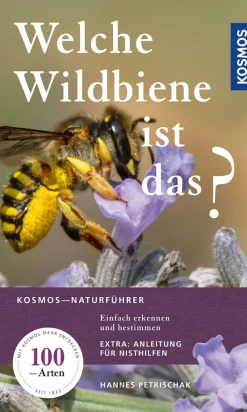 Waschbär Welche Wildbiene ist das? Einfach erkennen und bestimmen. Clearance