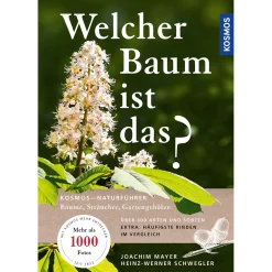 Waschbär Welcher Baum ist das? Bäume, Sträucher, Gartengehölze. Online