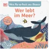 Waschbär Wer lebt im Meer? Mein Pop-up-Buch zum Staunen.