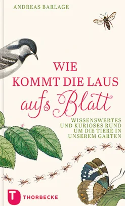 Waschbär Wie kommt die Laus aufs Blatt? Wissenswertes und Kurioses rund um die Tiere in unseren Gärten. Hot