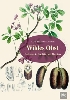 Waschbär Wildes Obst. Seltene Arten für den Garten. Best