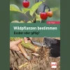 Waschbär Wildpflanzen bestimmen. Essbar oder giftig? Discount