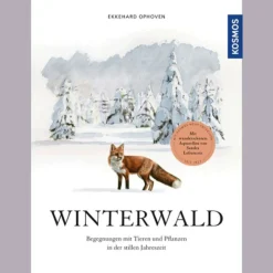 Waschbär Winterwald. Begegnungen mit Tieren und Pflanzen in der stillen Jahreszeit.