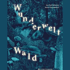 Waschbär Wunderwelt Wald. Hot