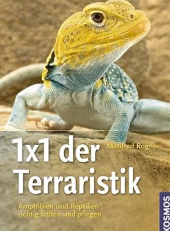 Waschbär 1x1 der Terraristik. New