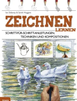 Waschbär Zeichnen lernen. Clearance